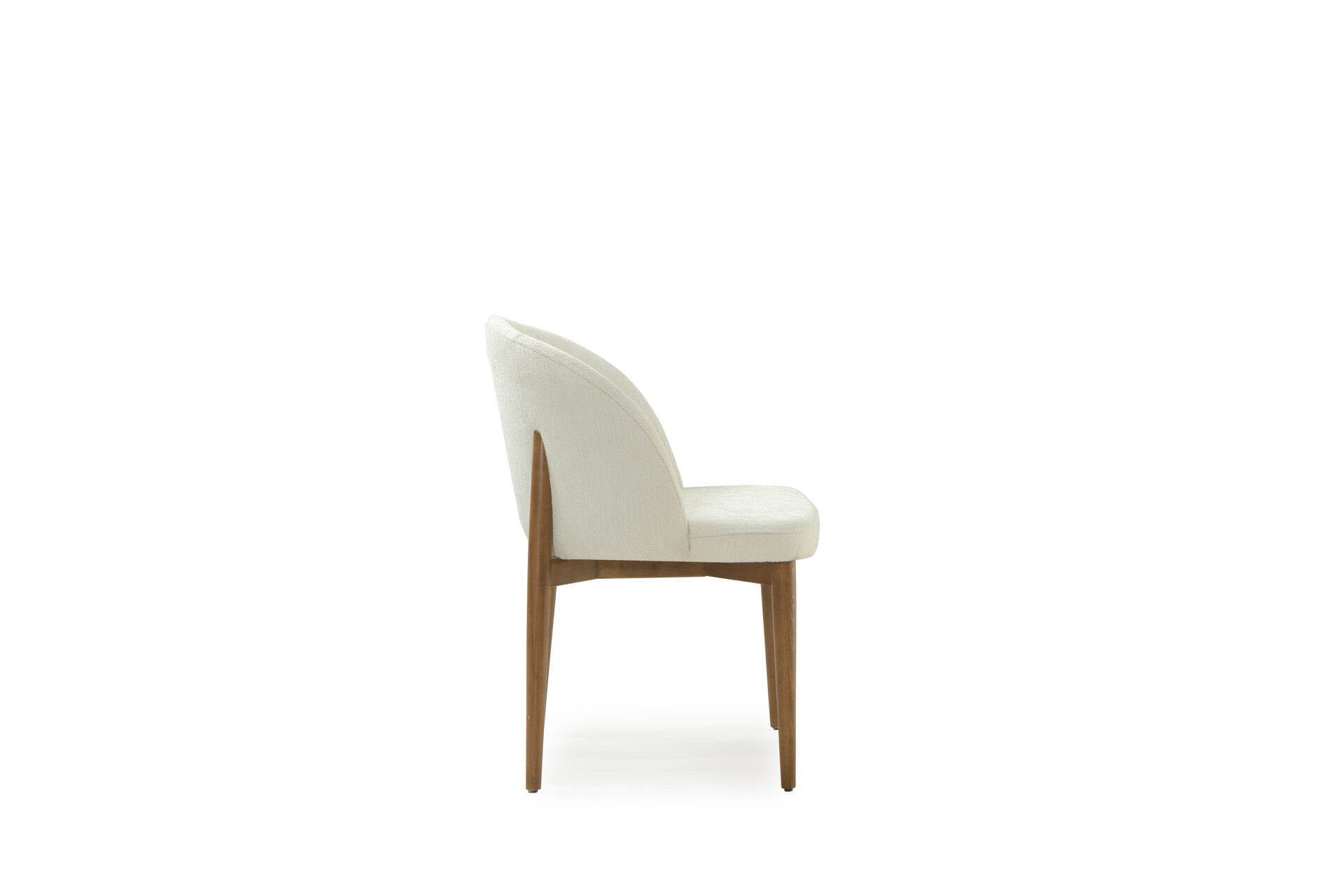 Nova görseli 2