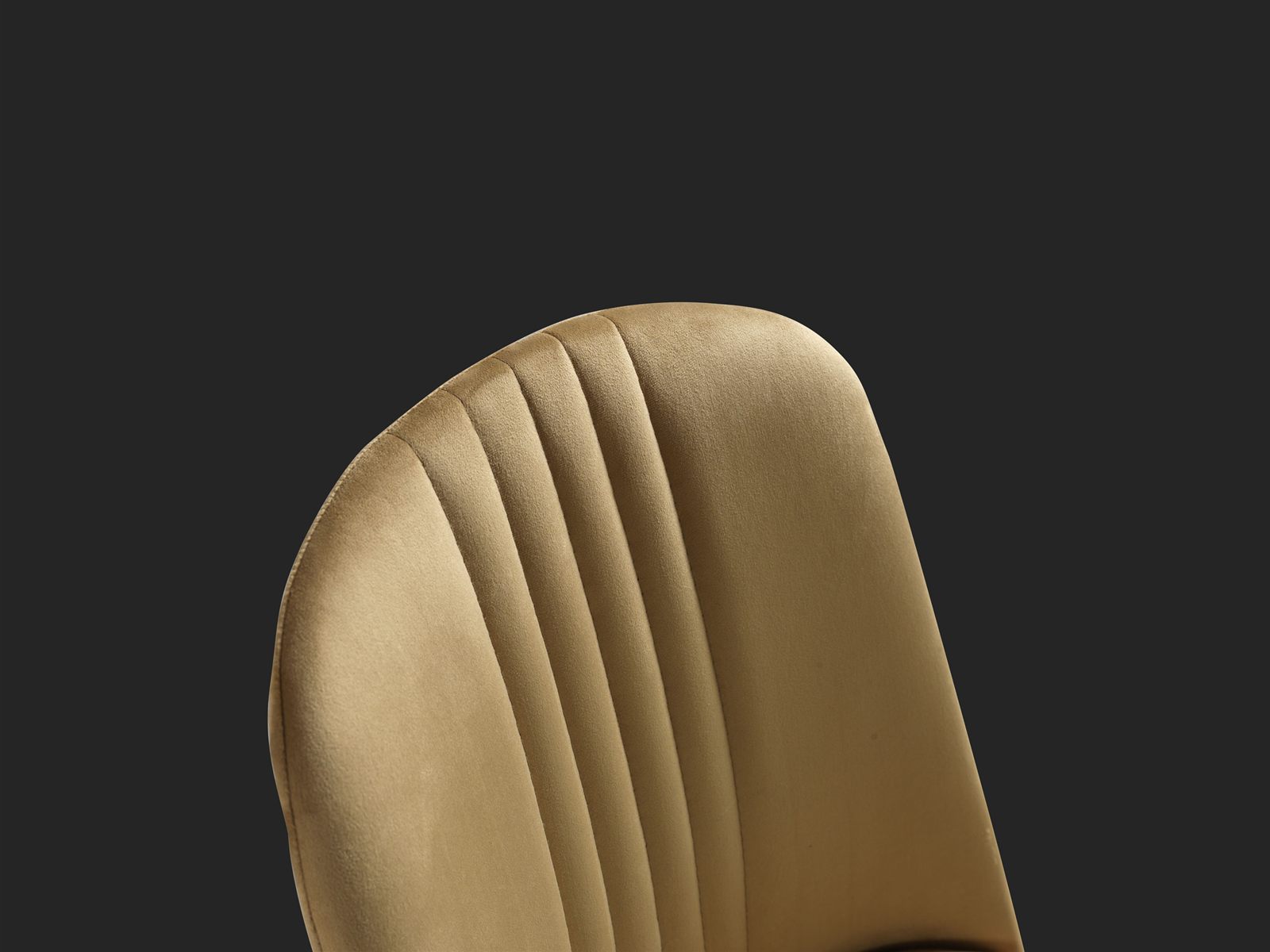 New Lotus görseli 3