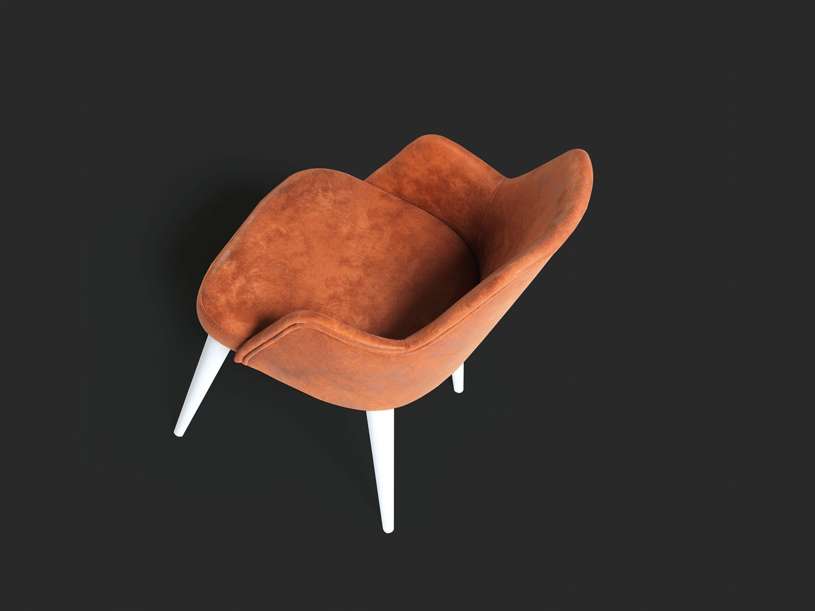 Safari görseli 3